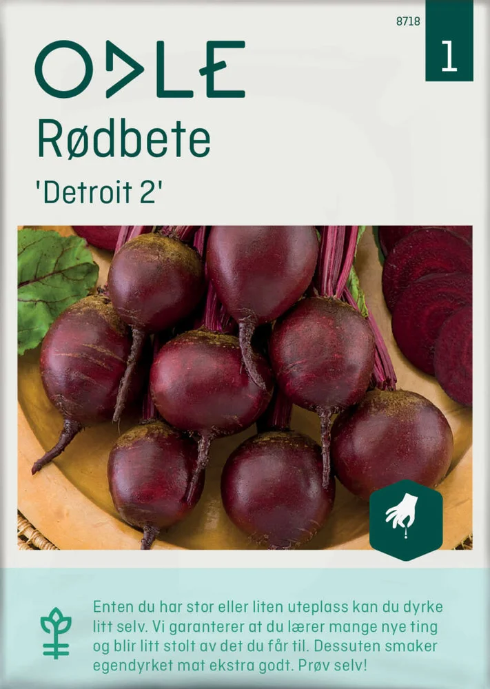 Odle 'Detroit 2' rødbete frø v:6149689 Odle 'Detroit 2' rødbete frø v:6149689