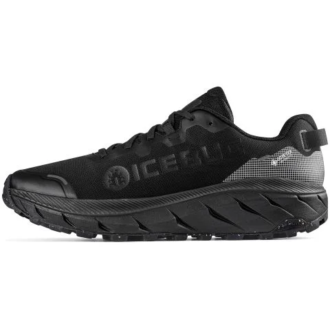 Arcus 2 RB9X GTX Icebug Yrkesko 4051240