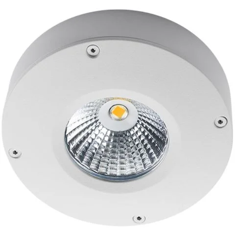 Callisto SG Armaturen Downlight 2817539