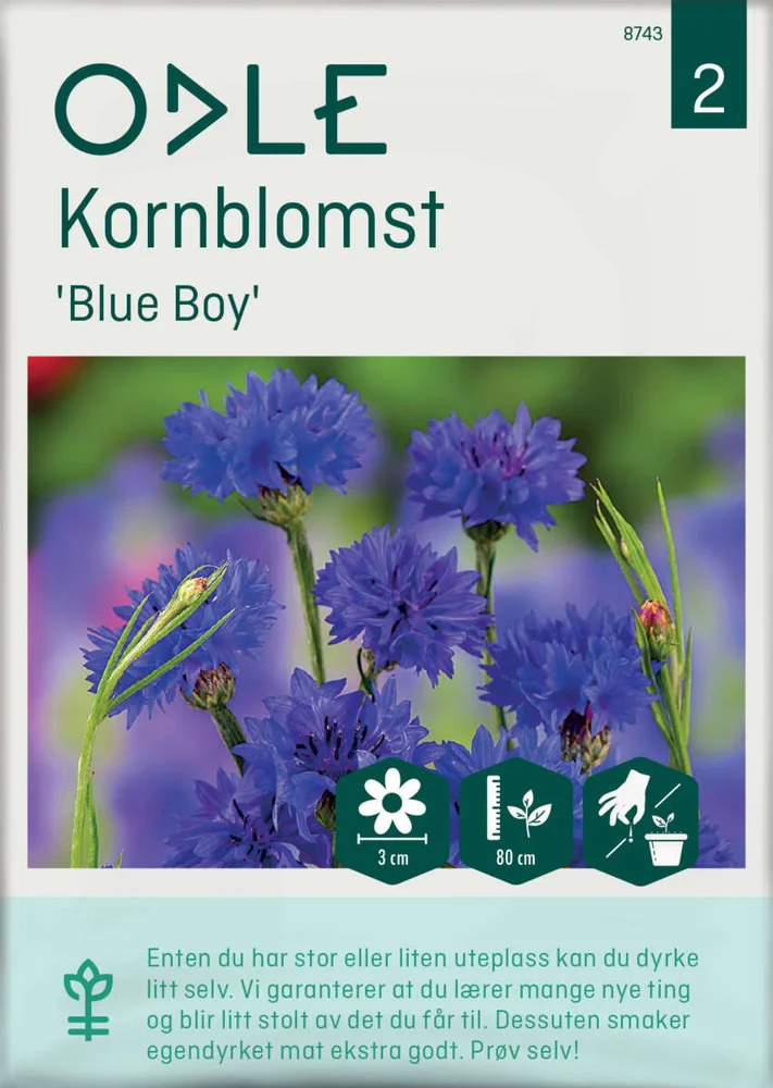 Odle 'Blue Boy' kornblomst frø v:1029779 Odle 'Blue Boy' kornblomst frø v:1029779