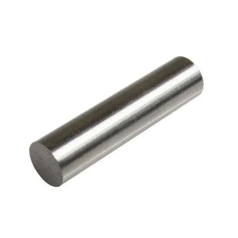 M D6x25 Alarmtech Reservemagnet 3033943